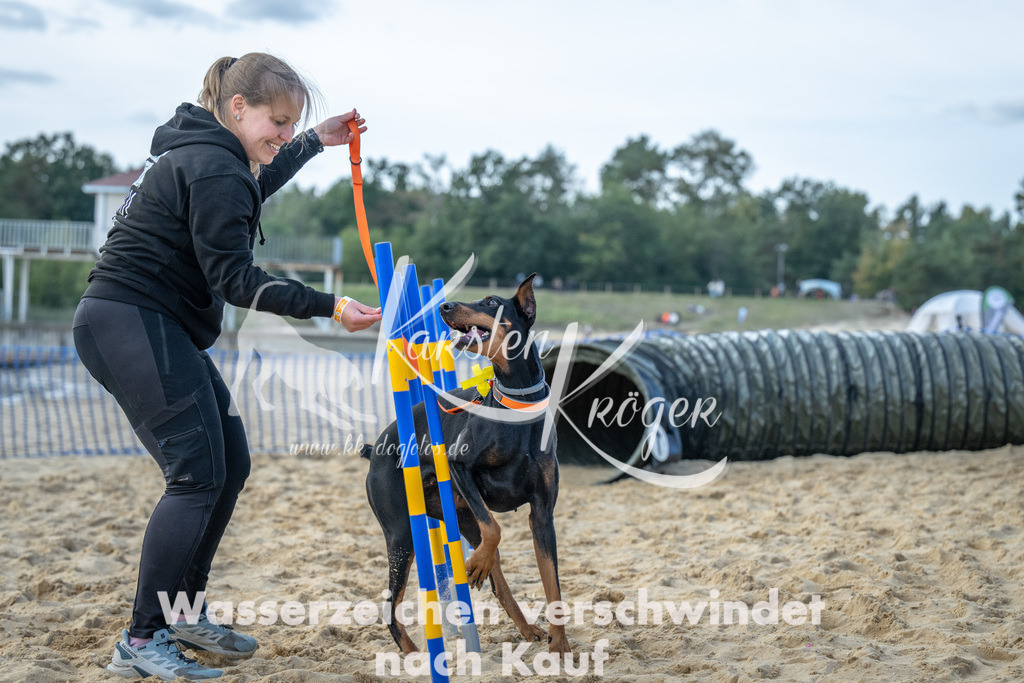 1538_ZZ92321 | kk-dogfotos
