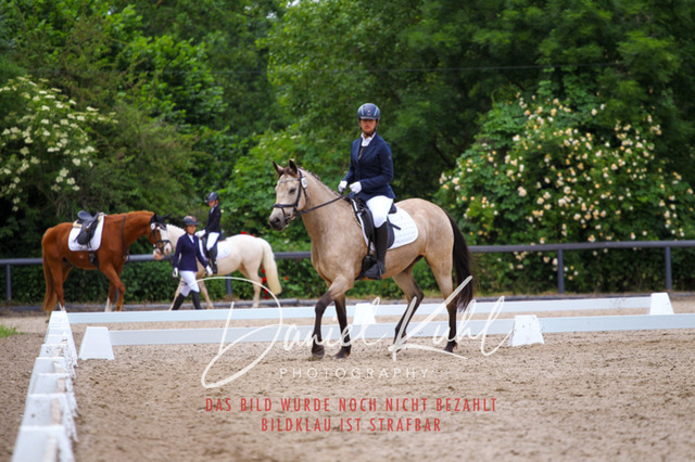 DKP46247 | Turnierfotos kaufen im Webshop von Daniel Kuhl Photography – entdecke professionelle Reitsportfotos aus Turnieren & Events. Hochwertige Turnierbilder online bestellen & sichern. Jetzt Fotos von Reitsportturnieren kaufen!