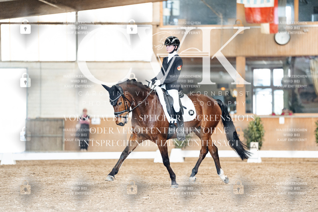 CK901450 | Turnierfotografie Pferdefotografie Trier Rheinland-Pfalz Pferdesport Reitsport Tierfotografie Sportfotografie Pferdevideo Pferdevideografie Equestrianvideography equestrianphotography  - Realisiert mit Pictrs.com