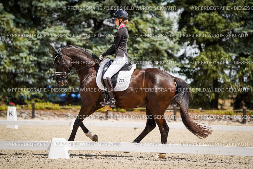 DSC01635 | Pferdegrafie