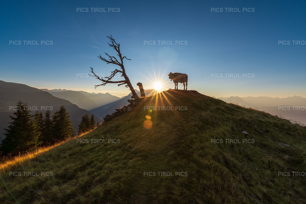 DSC_9272-Verbessert-RR-Bearbeitet | Tirolpics