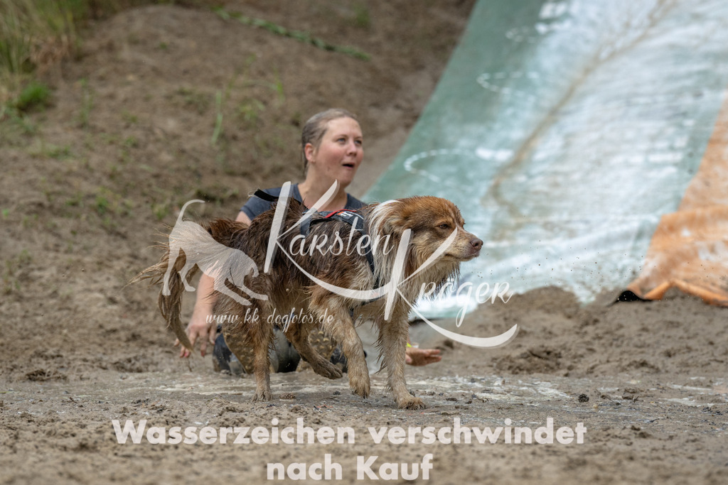 1401_ZZ90585 | kk-dogfotos