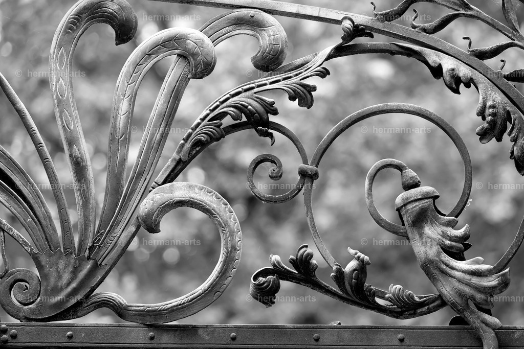 Hermann-Arts_Barockes Tor_045 | Photo Foto Kunst Art schwarzweiss Bilder Rheine Münster Berlin Blumen 