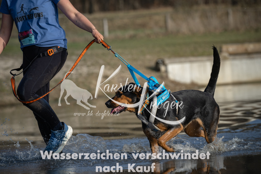 1531_ZZ91793 | kk-dogfotos