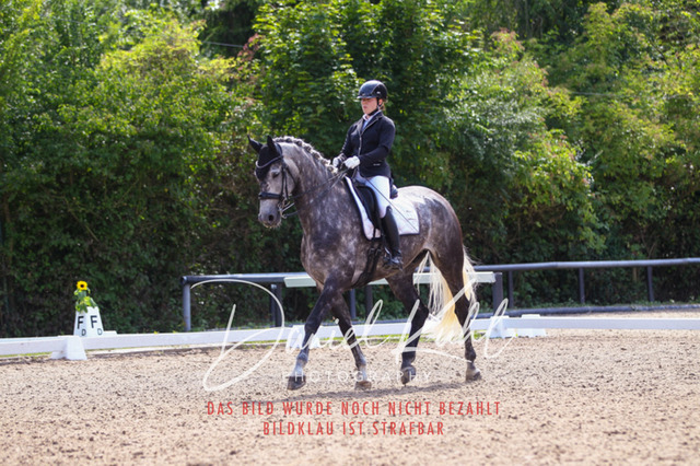 DKP41023 | Turniersportfotografie; Pferdefotografie; Dressurfotografie