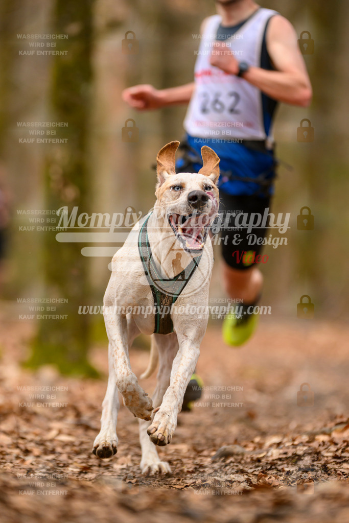 MompixPhotography_Habay2025_SA_CCC-7 | PayLife