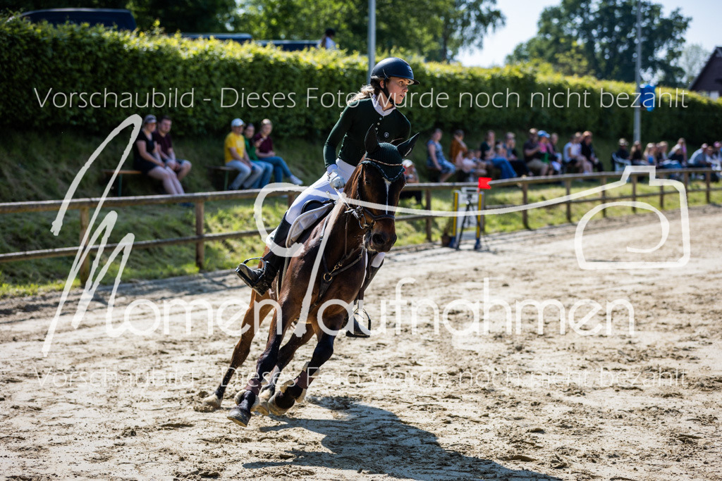 Donop24-ESpr-080 | MomenTaufnahmen Pferdesportfotos