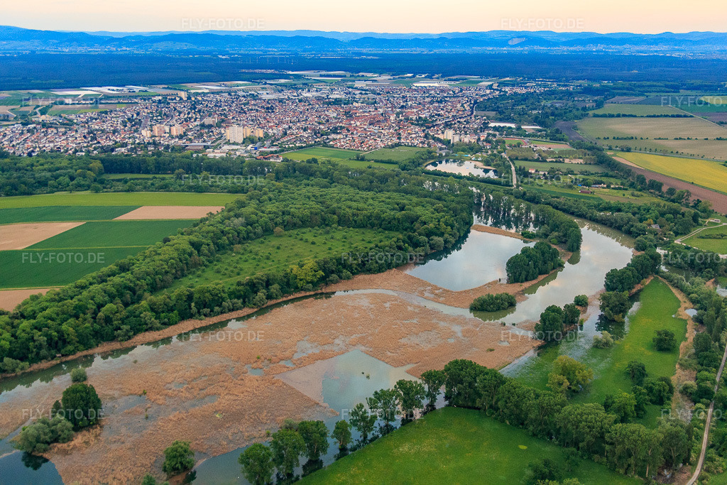 Luftbild: Rallengraben Lampertheimer Altrhein in Lampertheim im Bundesland Hessen in Deutschland. Foto: IMG_088599.jpg vom 17.05.2016 durch Werner Riehm/FLY-FOTO.de