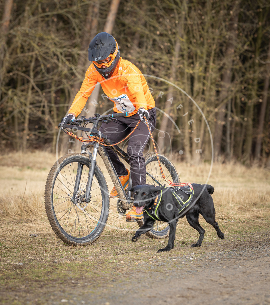 DV3A4883 | Hundefotografie, Tierfotograf, Pfotenfotografie, Fotoshooting Hund, Hunde Portrait, Hundesport, Hundeportraits, Heideshooting, Hunde, Sportfotograf, Hundefotograf, Turnierhundsport, THS,  - Realisiert mit Pictrs.com