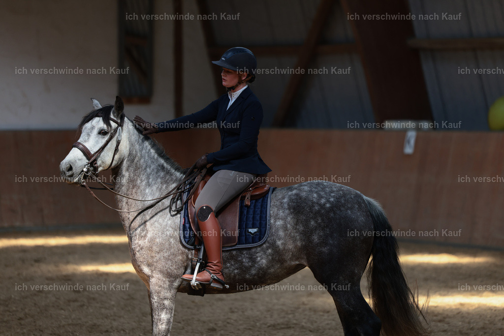 KlasseM_stoibphotography_C2_L7866.JPG | working equitationturnier fotograf videograf stoibphotography marixx film working equitation deutschland reitsport turnierfotografie eventfotografie equestrian events