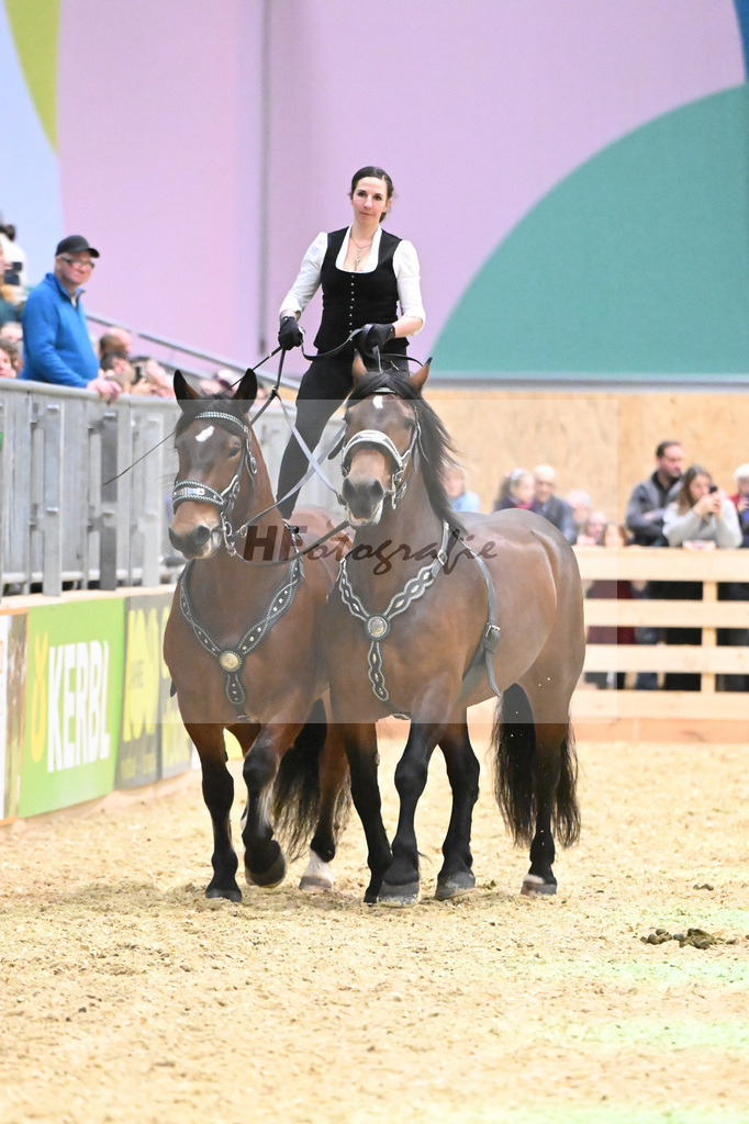 Schauprogramm_Ungar. Post_1260923 | hf-fotografie - Realisiert mit Pictrs.com