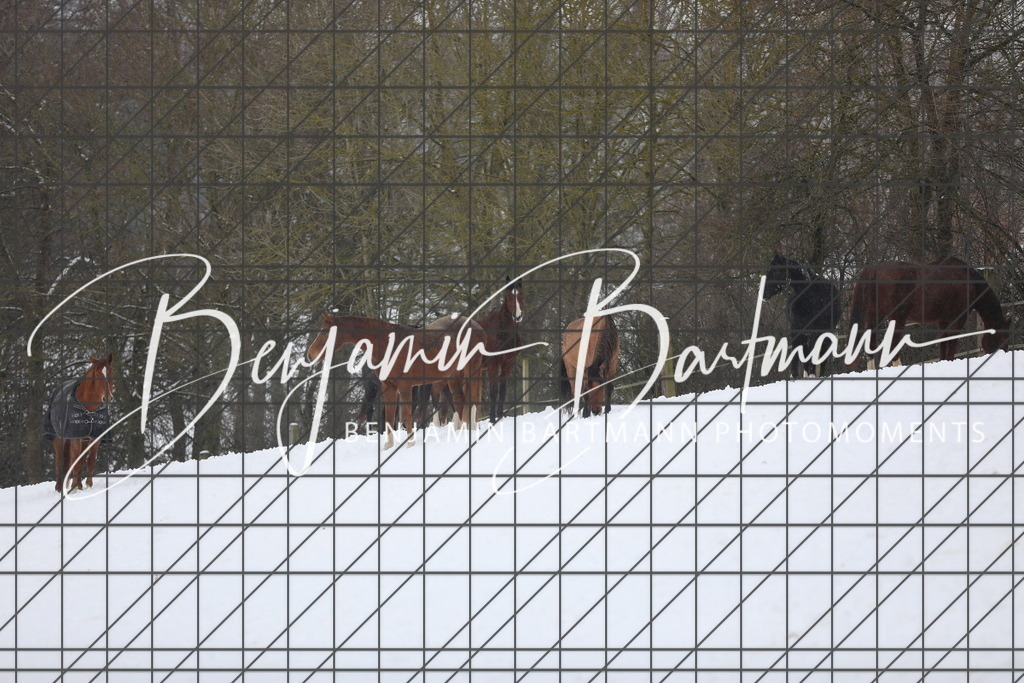 AZ2A3400 | Benjamin Bartmann Photomoments