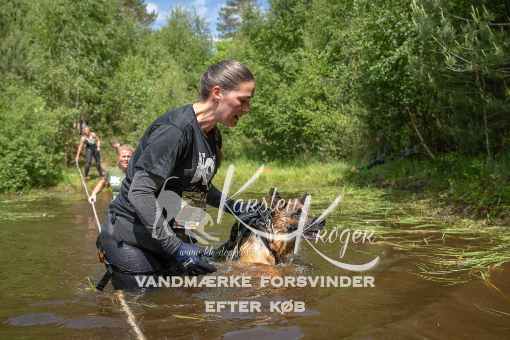 1209DKK991986 | kk-dogfotos