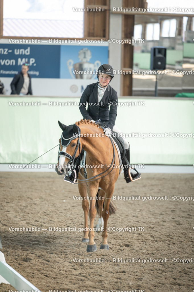 _D5A2607 | Emotionale Pferde- & People-Fotografie rund um Heidelberg, Leimen & Umgebung. Natürliche Fotos von Pferd, Mensch & Familie. Jetzt Termin sichern!