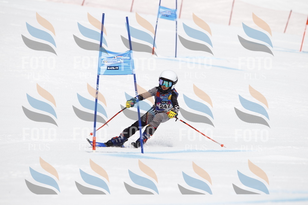 _U3G6238 | holidayphoto