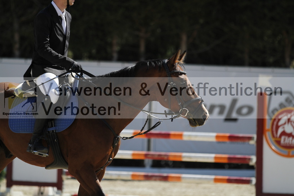 _MG_4643 | equestrian-live-com