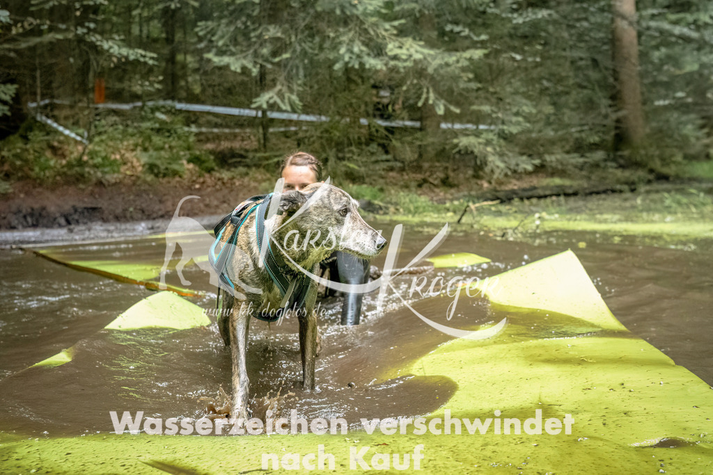 1434_ZZ92834-Bearbeitet | kk-dogfotos