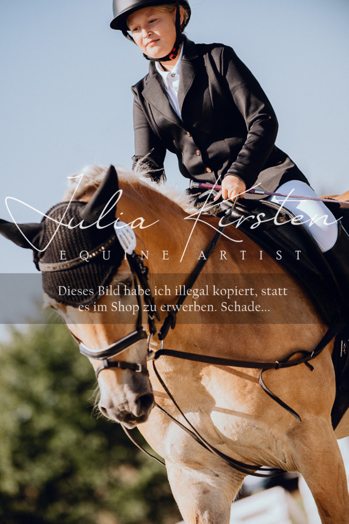 DSC_7086 | Pferde- und Turnierfotografie in Westsachsen. Pferdeportraits, Auftragszeichnungen und intuitive Kunst.