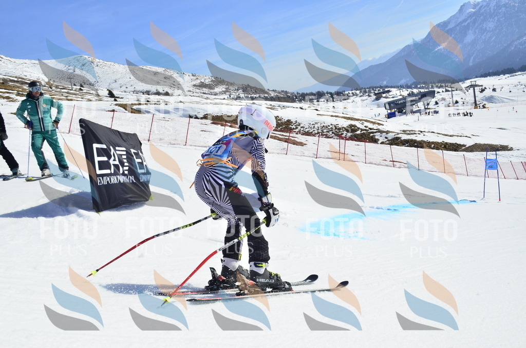 _ELE0571 | holidayphoto