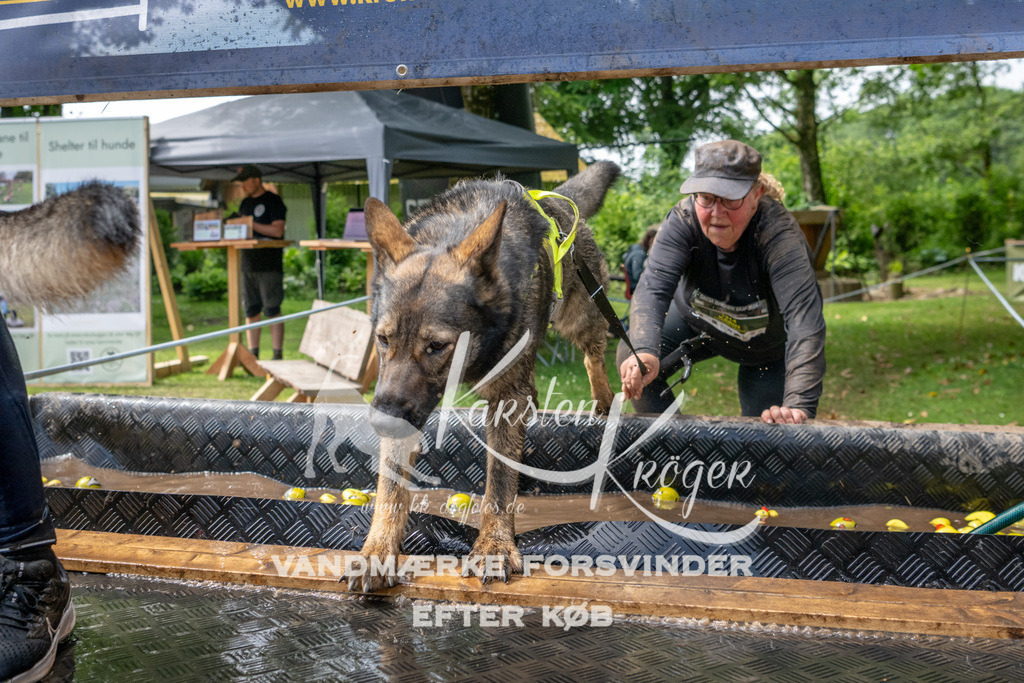 1114_ZZ93358 | kk-dogfotos