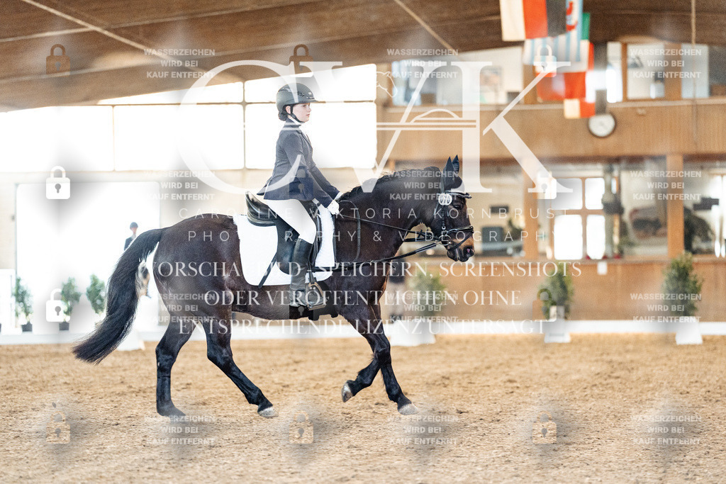 CK906749 | Turnierfotografie Pferdefotografie Trier Rheinland-Pfalz Pferdesport Reitsport Tierfotografie Sportfotografie Pferdevideo Pferdevideografie Equestrianvideography equestrianphotography  - Realisiert mit Pictrs.com