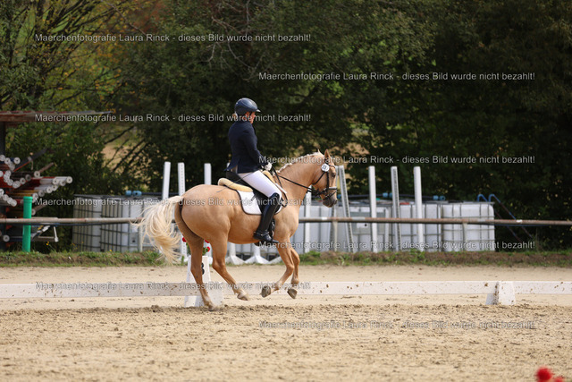 HG9A1558 | laurarinckfotografie - Realisiert mit Pictrs.com