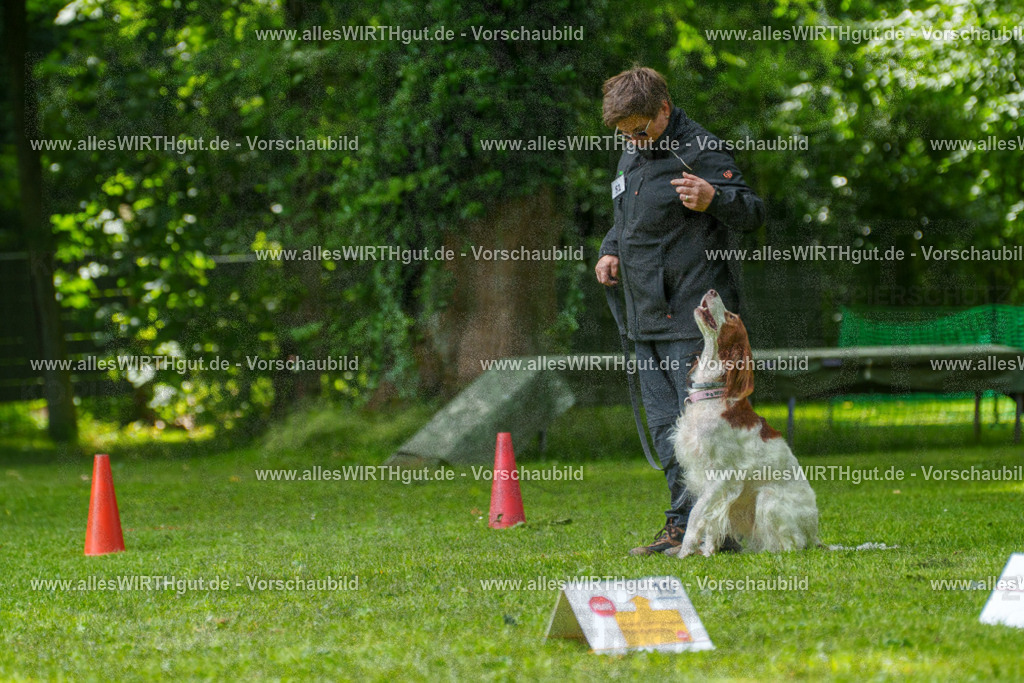 @allesWIRTHgut_Tierfotografie - www.allesWIRTHgut.de - 7R505798 | Professionelle Tierfotografie in Mönchengladbach von Daniel Wirth (allesWIRTHgut). Liebevolle & natürliche Bilder von Hunden & Katzen für unvergessliche Erinnerungen.
