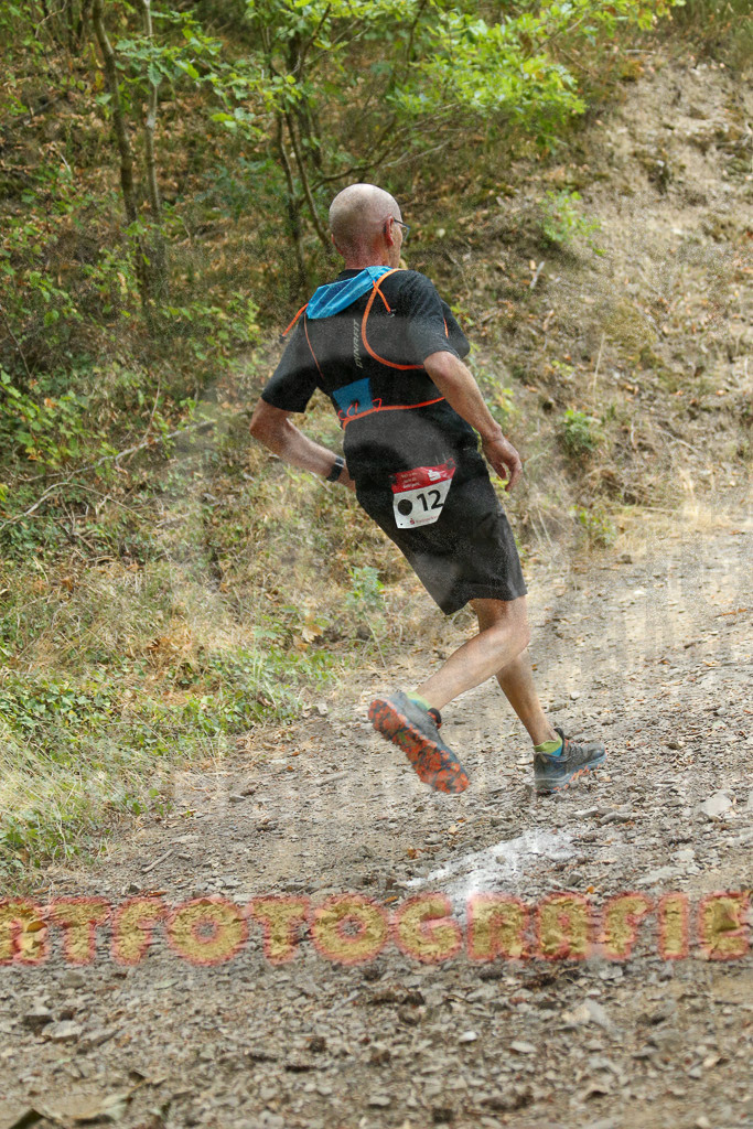 220827_1154_EX1_9485 | Sportfotografie im Rhein-Sieg Kreis, Köln, Bonn, NRW, Rheinland Pfalz, Hessen, etc. Unser Tätigkeitsfeld umfasst den Laufsport vom Volkslauf über den Marathon, Duathlon, Triathon bis zum Ultralauf wie Kölnpfad Ultra oder Schindertrail.