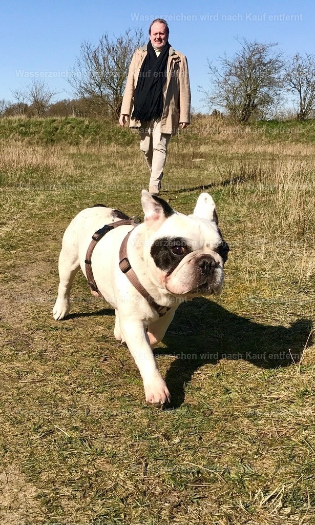 IMG_8842 | heikomoeller - Realisiert mit Pictrs.com