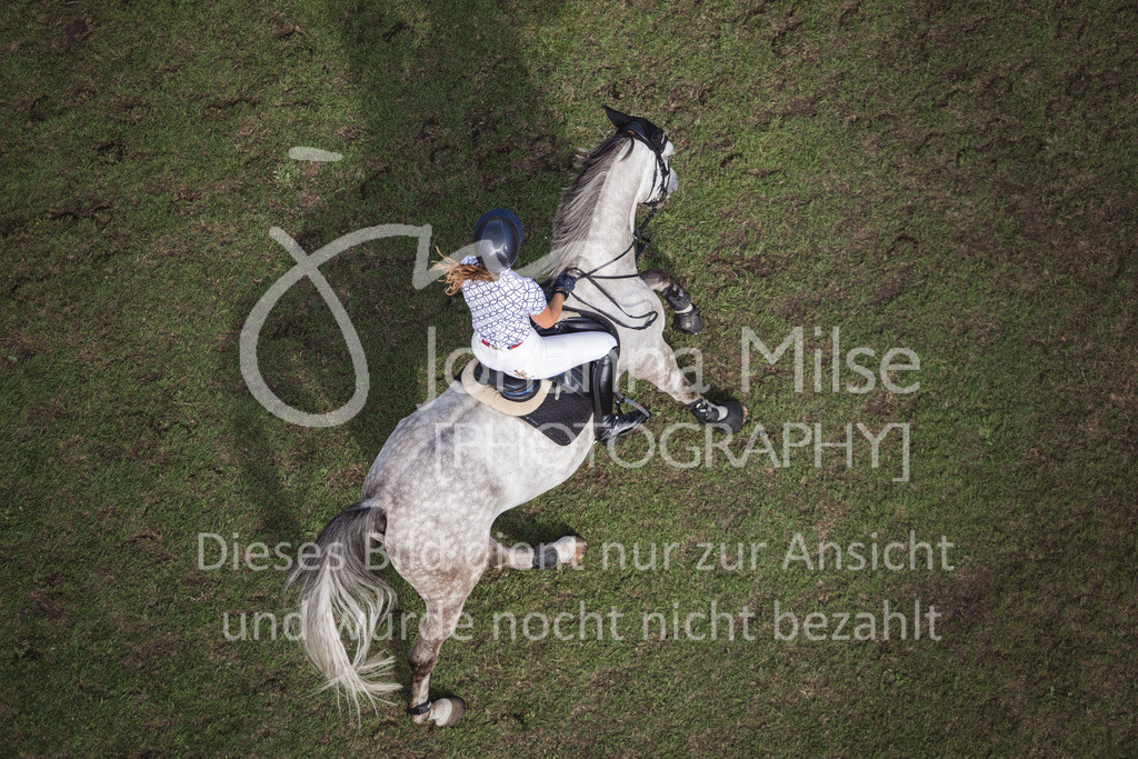 230715_LC_M2-SprmstAnf-726 | Deine schönsten Turniermomente als professionelle Fotos! Entdecke hochwertige Pferdesport-Fotografie im Online-Shop. Jetzt Fotos finden & bestellen!
