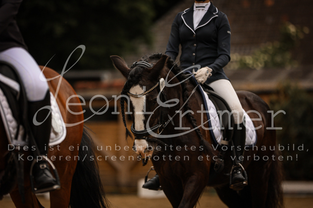 DoDrE00275 | Leoni Ertmer Photography - Realisiert mit Pictrs.com