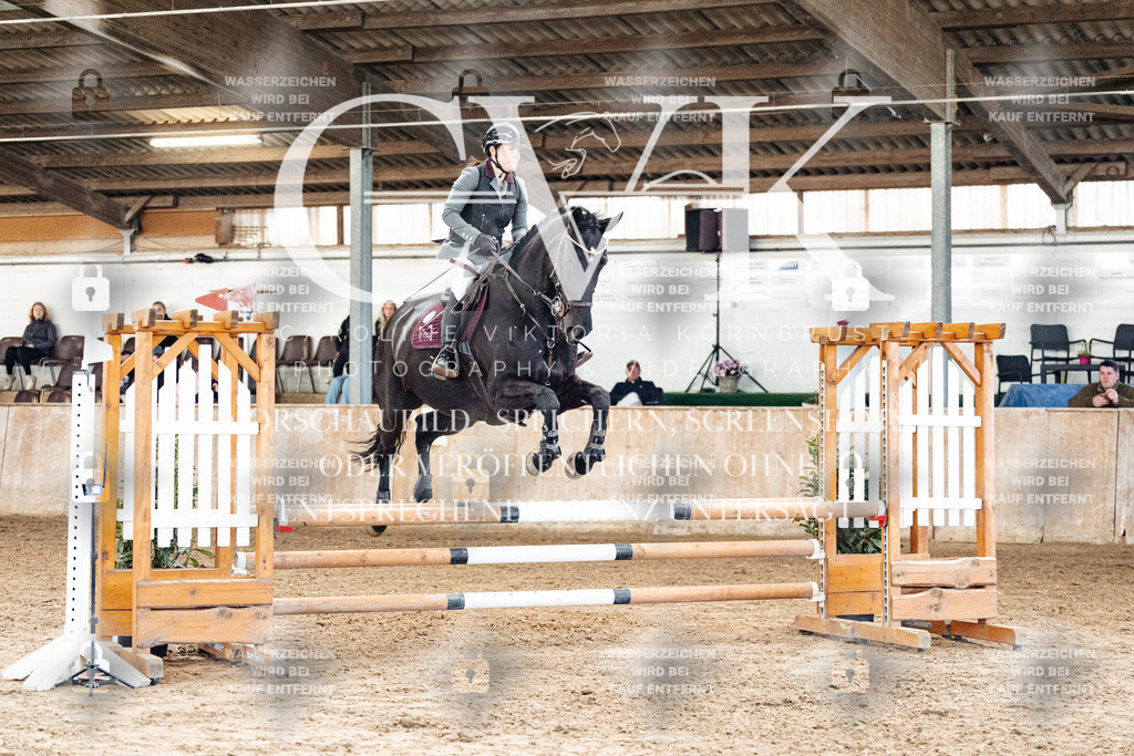 CK904688 | Turnierfotografie Pferdefotografie Trier Rheinland-Pfalz Pferdesport Reitsport Tierfotografie Sportfotografie Pferdevideo Pferdevideografie Equestrianvideography equestrianphotography  - Realisiert mit Pictrs.com