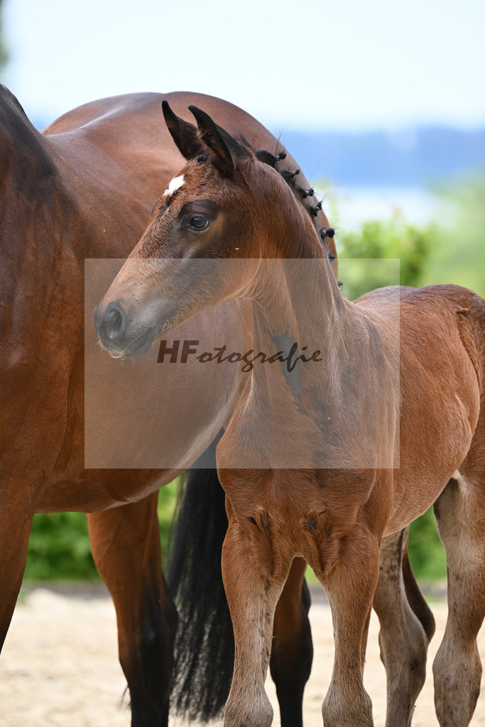 Vangelis x Brentano II_HF_Schmid_19240204 | hf-fotografie - Realisiert mit Pictrs.com