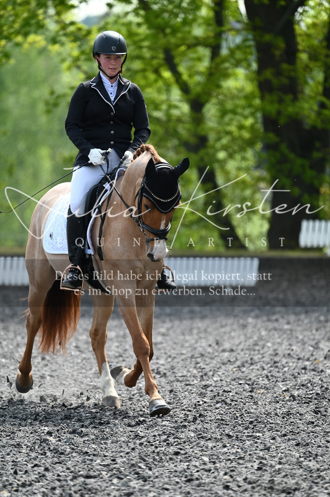 20230512_JK-Röhrsdorf-01-087 | Pferde- und Turnierfotografie in Westsachsen. Pferdeportraits, Auftragszeichnungen und intuitive Kunst.