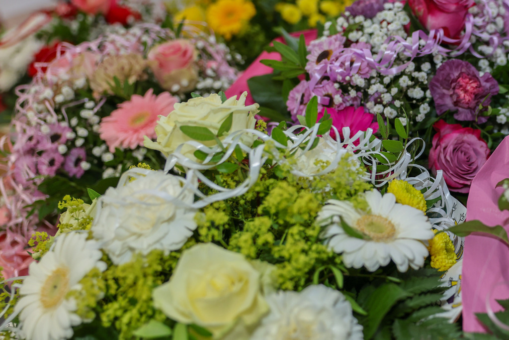 top-top.de-250704-018 | Foto, Video, Fotografie, Videografie, Fotobox, DJ, Discjockey, Musik, Musikbox, Veranstaltung, Photobooth, Amazon, Ebay, Buchtipp, Bestseller, Autor, Verlag, Buch, Wesel, Hamminkeln, NRW, Dinslaken, Rees, Drohne, Hochzeit, Party, Fotobox, Wesel, Fotograf