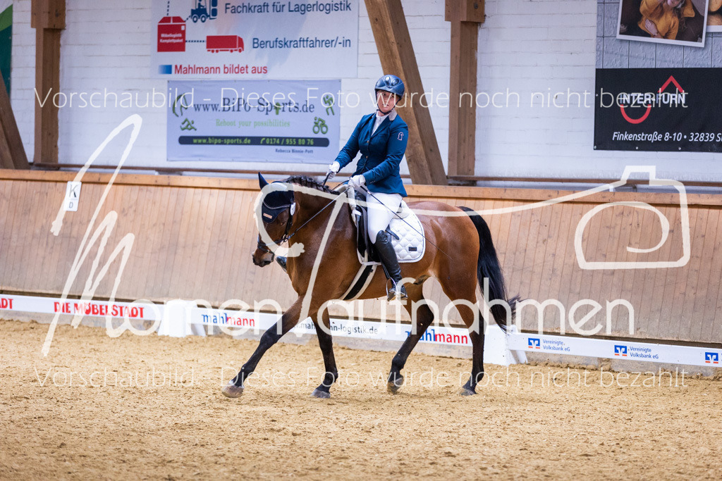 Sth-A-Dre-2St-106 | MomenTaufnahmen Pferdesportfotos