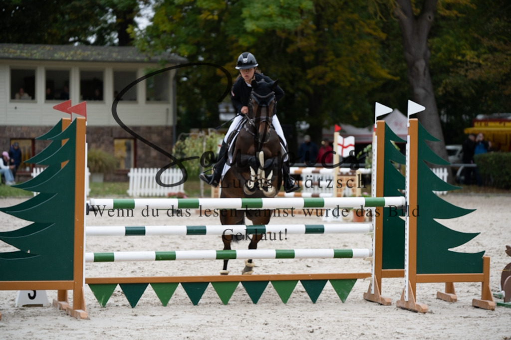 A7V09958 | Pferdefotograf