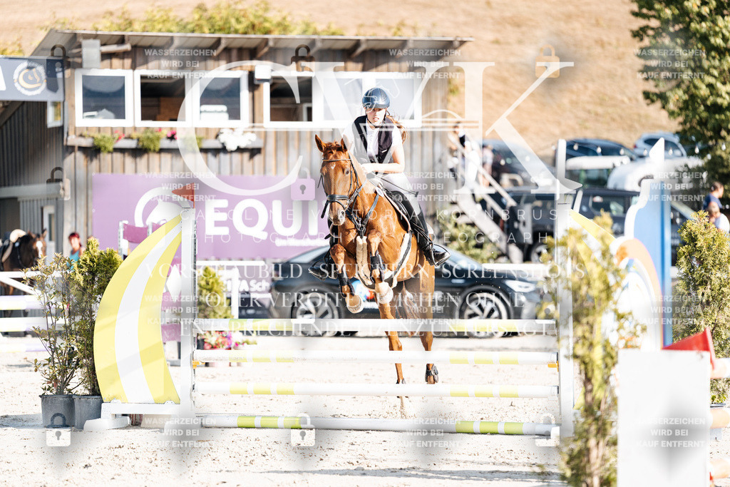 CK909594 | Turnierfotografie Pferdefotografie Trier Rheinland-Pfalz Pferdesport Reitsport Tierfotografie Sportfotografie Pferdevideo Pferdevideografie Equestrianvideography equestrianphotography  - Realisiert mit Pictrs.com