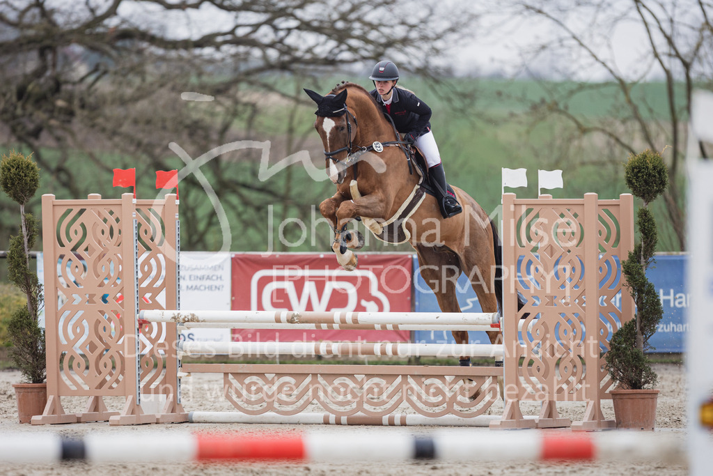 230408_Frühlingsfest_Stil-A1-503 | Deine schönsten Turniermomente als professionelle Fotos! Entdecke hochwertige Pferdesport-Fotografie im Online-Shop. Jetzt Fotos finden & bestellen!