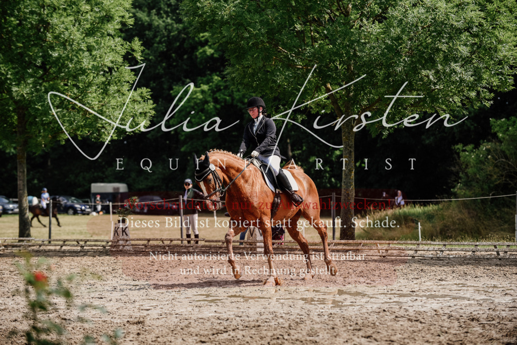 DSC_0699 | Pferde- und Turnierfotografie in Westsachsen. Pferdeportraits, Auftragszeichnungen und intuitive Kunst.