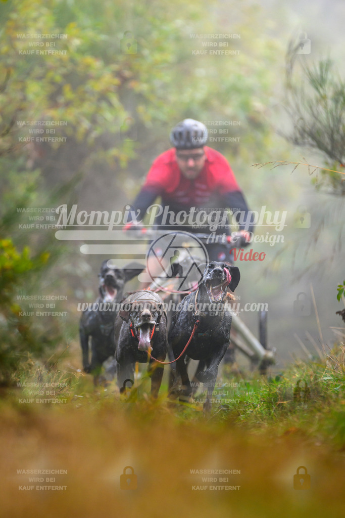 MompixPhotography_20TSB_E4_Kart-11 | PayLife