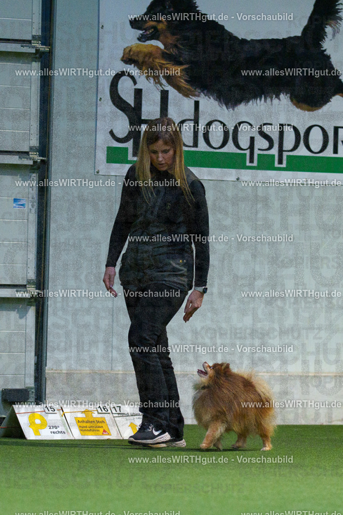 7R506792 | Professionelle Tierfotografie in Mönchengladbach von Daniel Wirth (allesWIRTHgut). Liebevolle & natürliche Bilder von Hunden & Katzen für unvergessliche Erinnerungen.