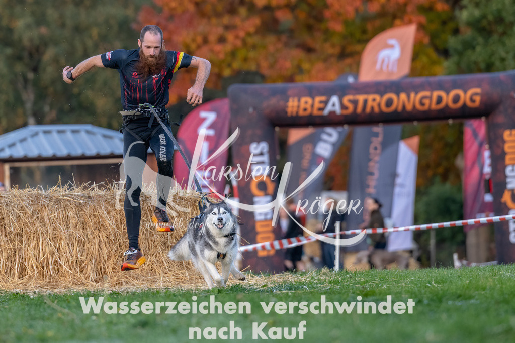 0841_ZZ91151-Bearbeitet | kk-dogfotos