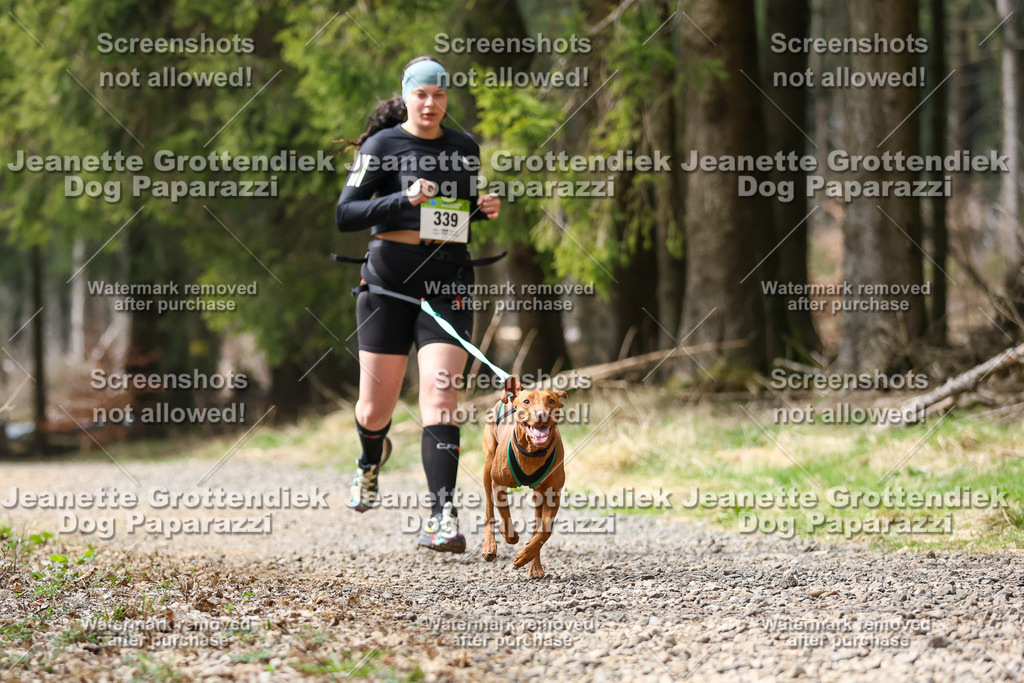 Dog Paparazzi - VCC26-503 | Dog Paparazzi Jeanette Grottendiek Fotografie & Videografie - Realisiert mit Pictrs.com