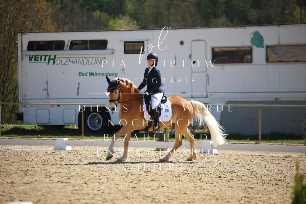 IMGT1512 | pl-fotografie