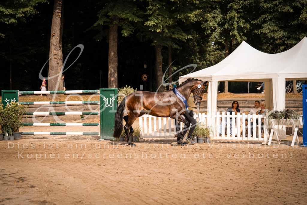 FrER00227 | Leoni Ertmer Photography - Realisiert mit Pictrs.com