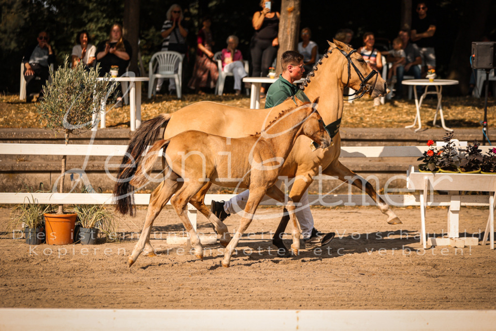 10.DoRP00251 | Leoni Ertmer Photography - Realisiert mit Pictrs.com