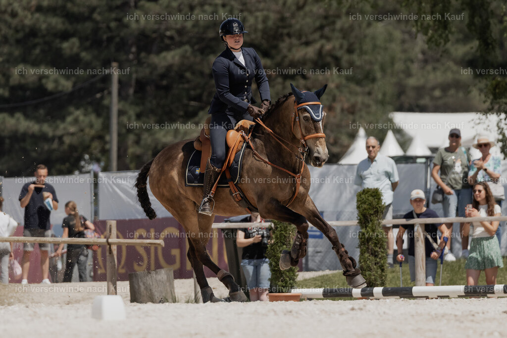 WE_SP_Stoib_329_PI2025_2030 | Pferd International München 2025