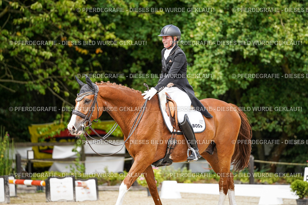 DSC06546 | Pferdegrafie