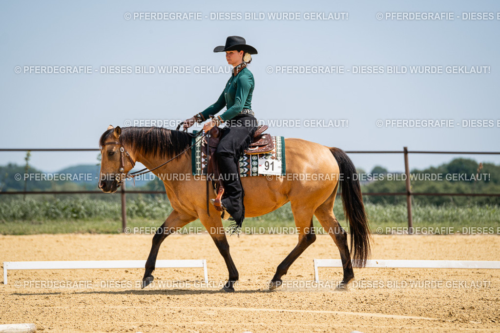 DSC01240 | Pferdegrafie